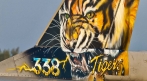 338 Tigers | fotografie