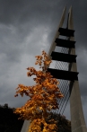 Mariánský most-podzim | fotografie