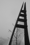 Mariánský most-zima | fotografie