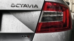 Octavia III i do nepohody | fotografie