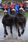 Rudolfův pohár 2015 | fotografie