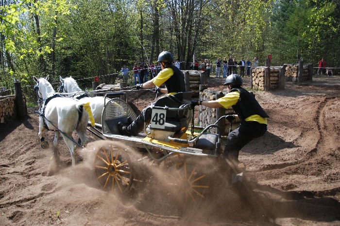 Rudolfův pohár Kladruby nad Labem 2